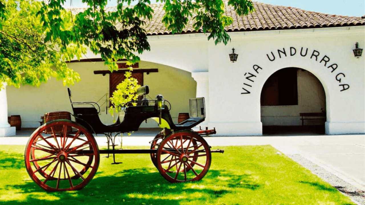 Leia mais sobre o artigo Entre Vinhas e Sabores: A Experiência na Vinícola Undurraga